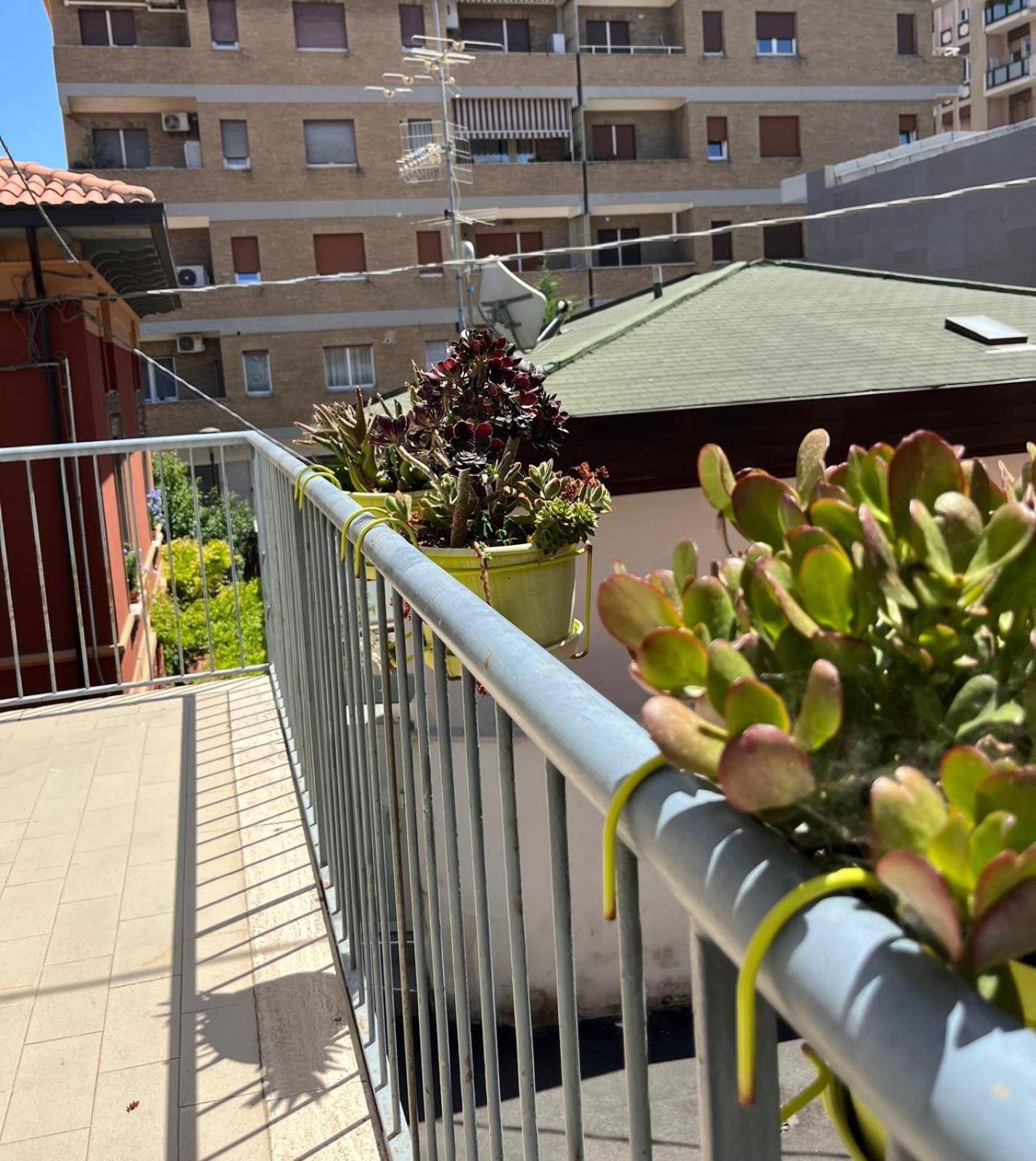 Bed And Breakfast Sofia Pescara Exterior foto